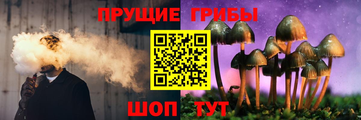 Псилоцибиновые грибы GOLDEN TEACHER  наркошоп  Вход с VPN  Михайловск  Псилоцибиновые грибы MAGIC MUSHROOMS 